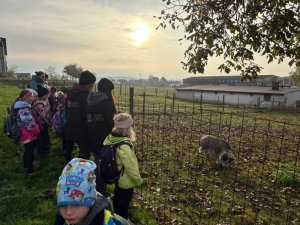 3017e4ed-bd97-4979-b308-5c7f0d3d869a.jpeg